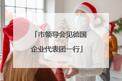 市领导会见德国企业代表团一行