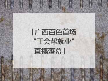 广西百色首场“工会帮就业”直播落幕