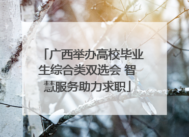 广西举办高校毕业生综合类双选会 智慧服务助力求职