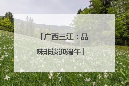 广西三江：品味非遗迎端午