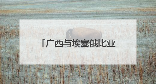 广西与埃塞俄比亚开展经贸合作交流