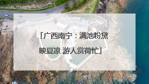 广西南宁：满池粉黛映夏凉 游人赏荷忙