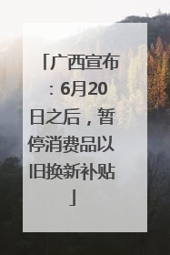 广西宣布：6月20日之后，暂停消费品以旧换新补贴