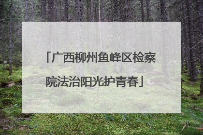 广西柳州鱼峰区检察院法治阳光护青春