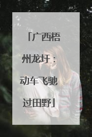 广西梧州龙圩：动车飞驰过田野