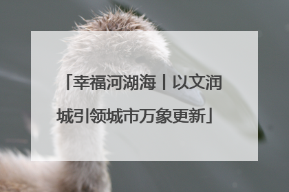 幸福河湖海丨以文润城引领城市万象更新