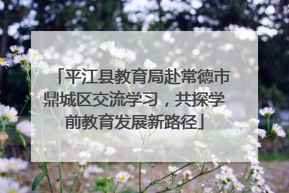 平江县教育局赴常德市鼎城区交流学习，共探学前教育发展新路径