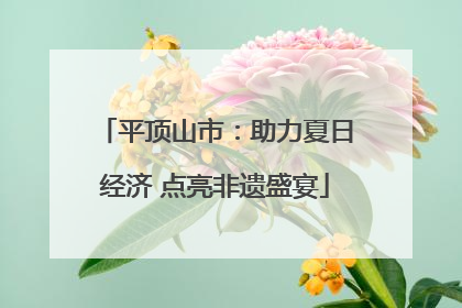 平顶山市：助力夏日经济 点亮非遗盛宴
