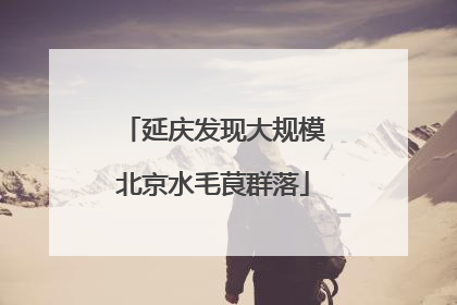 延庆发现大规模北京水毛茛群落