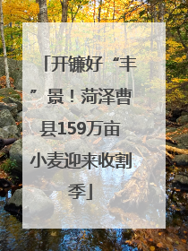 开镰好“丰”景！菏泽曹县159万亩小麦迎来收割季