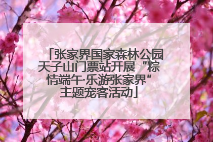 张家界国家森林公园天子山门票站开展“粽情端午·乐游张家界”主题宠客活动