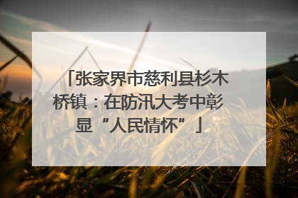张家界市慈利县杉木桥镇：在防汛大考中彰显“人民情怀”