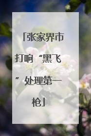 张家界市打响“黑飞”处理第一枪