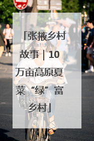 张掖乡村故事｜10万亩高原夏菜“绿”富乡村