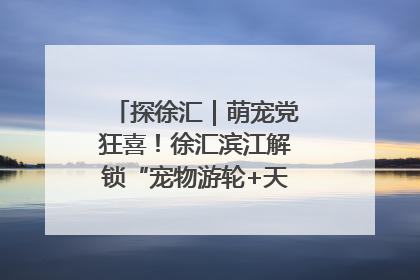 探徐汇｜萌宠党狂喜！徐汇滨江解锁“宠物游轮+天台乐园”双玩法