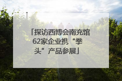 探访西博会南充馆 62家企业携“拳头”产品参展