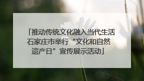 推动传统文化融入当代生活 石家庄市举行“文化和自然遗产日”宣传展示活动