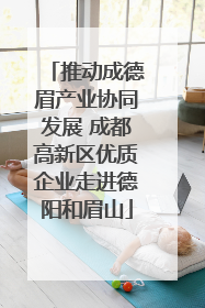 推动成德眉产业协同发展 成都高新区优质企业走进德阳和眉山