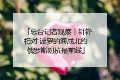 总台记者观察丨针锋相对 波罗的海成北约俄罗斯对抗最前线