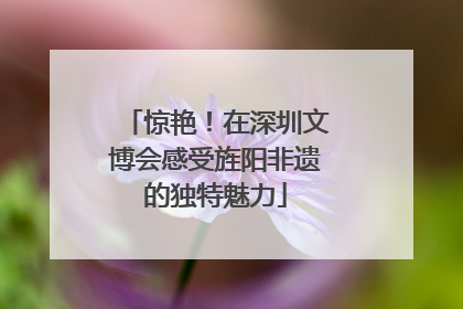 惊艳！在深圳文博会感受旌阳非遗的独特魅力