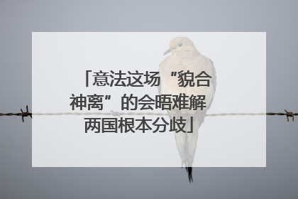 意法这场“貌合神离”的会晤难解两国根本分歧