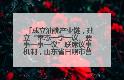 成立油桃产业链，建立“常态一季一议、要事一事一议”联席议事机制，山东省日照市莒县果庄镇——13个党小组“全周期”育果
