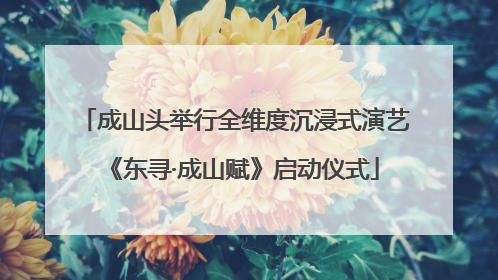 成山头举行全维度沉浸式演艺《东寻·成山赋》启动仪式