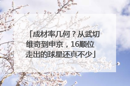 成材率几何？从武切维奇到申京，16顺位走出的球星还真不少