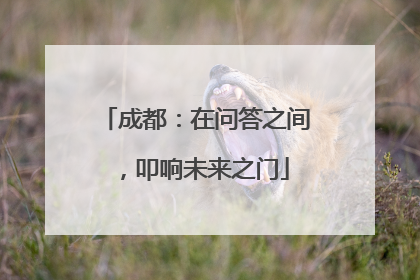 成都：在问答之间，叩响未来之门