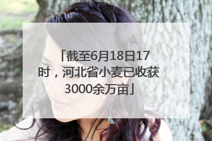 截至6月18日17时，河北省小麦已收获3000余万亩