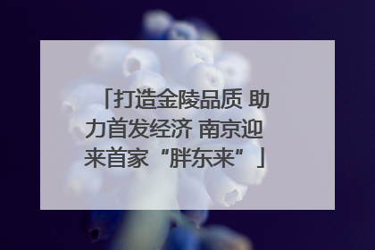 打造金陵品质 助力首发经济 南京迎来首家“胖东来”