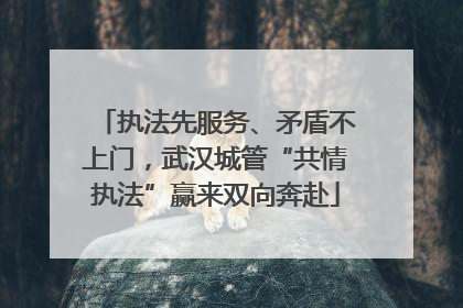 执法先服务、矛盾不上门，武汉城管“共情执法”赢来双向奔赴