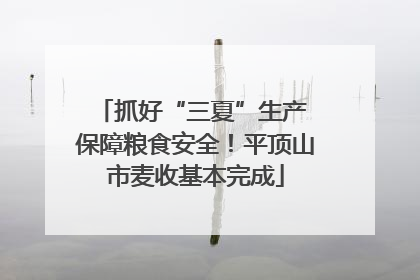 抓好“三夏”生产 保障粮食安全！平顶山市麦收基本完成