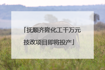 抚顺齐隆化工千万元技改项目即将投产