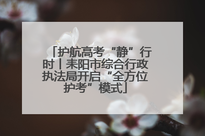 护航高考“静”行时丨耒阳市综合行政执法局开启“全方位护考”模式