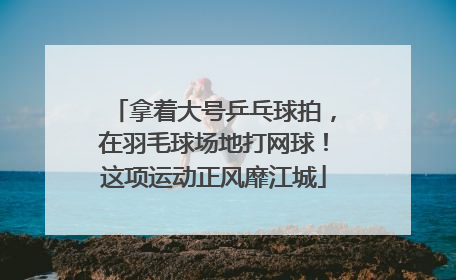 拿着大号乒乓球拍，在羽毛球场地打网球！这项运动正风靡江城