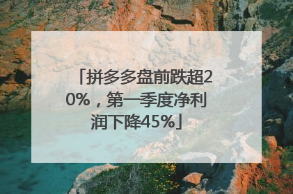 拼多多盘前跌超20%，第一季度净利润下降45%