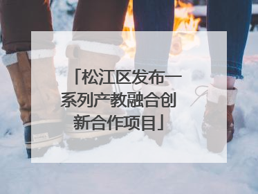 松江区发布一系列产教融合创新合作项目