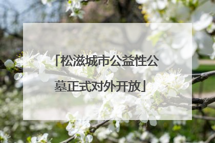 松滋城市公益性公墓正式对外开放