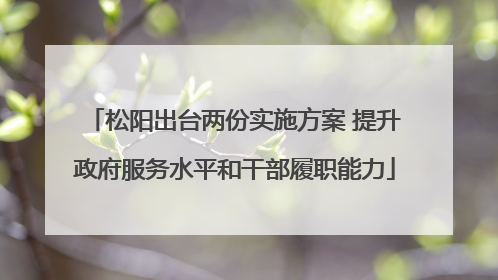 松阳出台两份实施方案 提升政府服务水平和干部履职能力