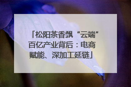 松阳茶香飘“云端” 百亿产业背后：电商赋能、深加工延链