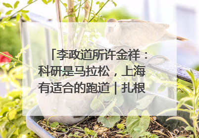 李政道所许金祥：科研是马拉松，上海有适合的跑道｜扎根上海，从0到1