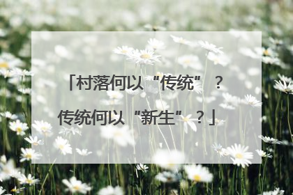 村落何以“传统”？传统何以“新生”？