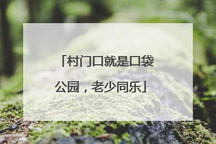 村门口就是口袋公园，老少同乐