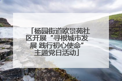 杨园街道欧景苑社区开展“寻根城市发展 践行初心使命”主题党日活动