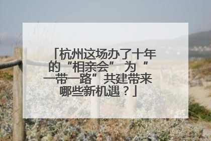 杭州这场办了十年的“相亲会” 为“一带一路”共建带来哪些新机遇？