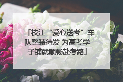 枝江“爱心送考”车队整装待发 为高考学子铺就顺畅赴考路