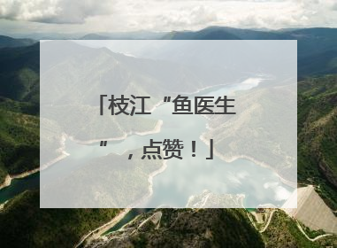 枝江“鱼医生”，点赞！