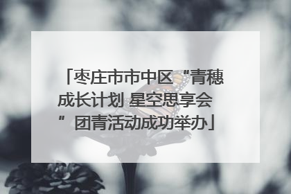 枣庄市市中区“青穗成长计划 星空思享会”团青活动成功举办