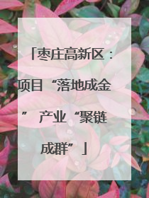 枣庄高新区：项目“落地成金” 产业“聚链成群”